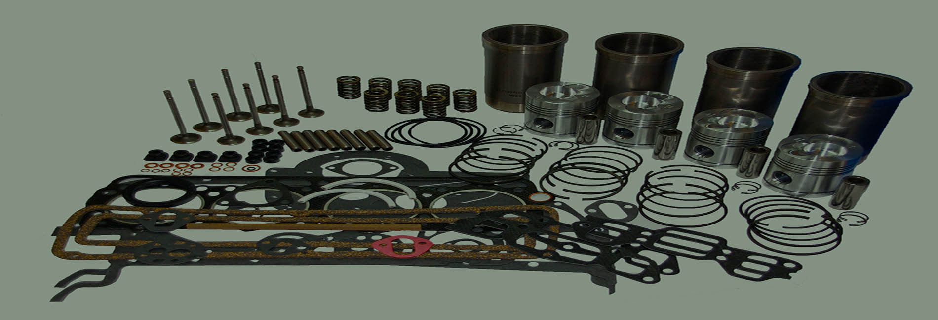 Steel Coils